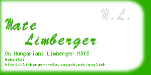 mate limberger business card